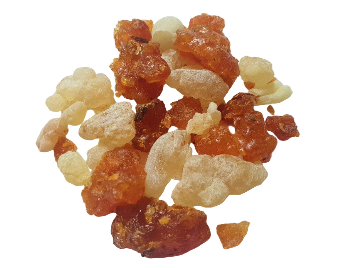 Close-up of dried resin or frankincense on a white background