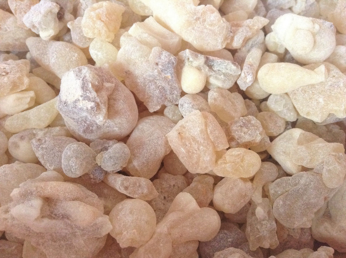 orange and yelllow boswella sacra tree resins from oman