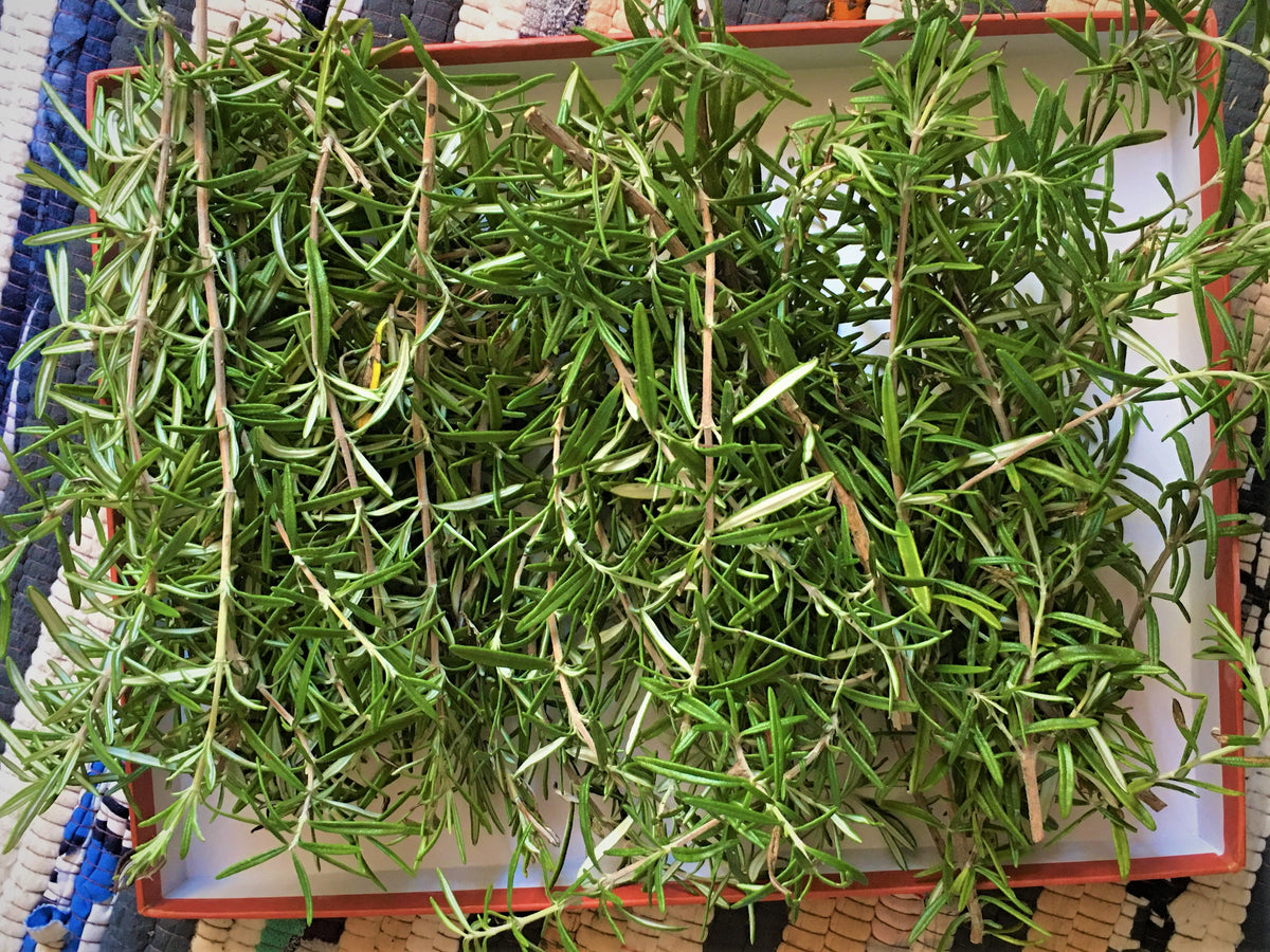 Fresh Organic Rosemary Sprigs: Culinary Herb, Smudging, Soap Making