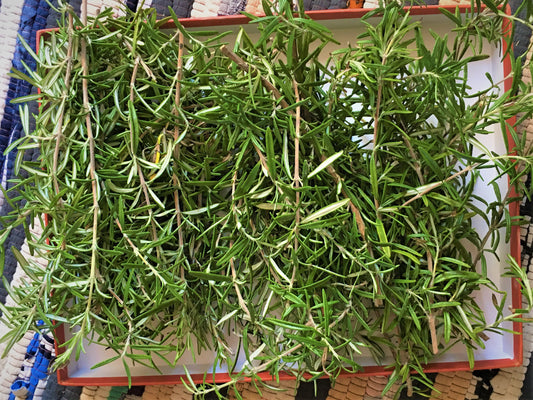 Fresh Organic Rosemary Sprigs: Culinary Herb, Smudging, Soap Making
