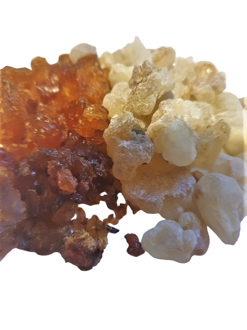 Frankincense and Myrrh tree resins on a white background